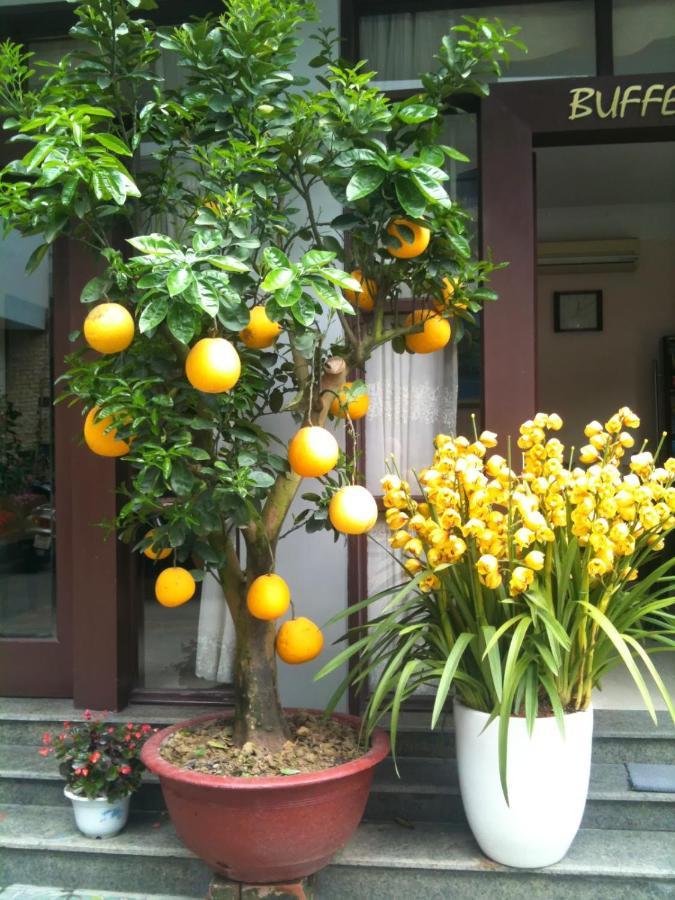 Thien Anh Hotel ไฮฟอง ภายนอก รูปภาพ