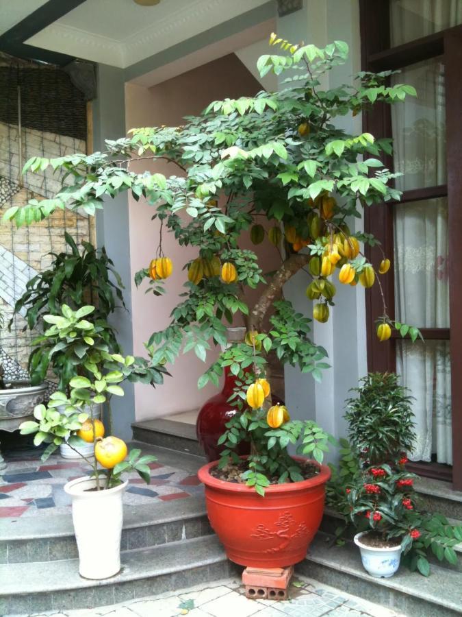 Thien Anh Hotel ไฮฟอง ภายนอก รูปภาพ